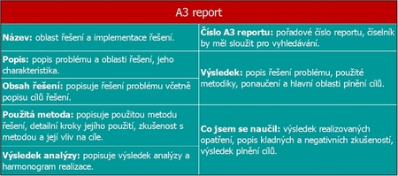 A3 report